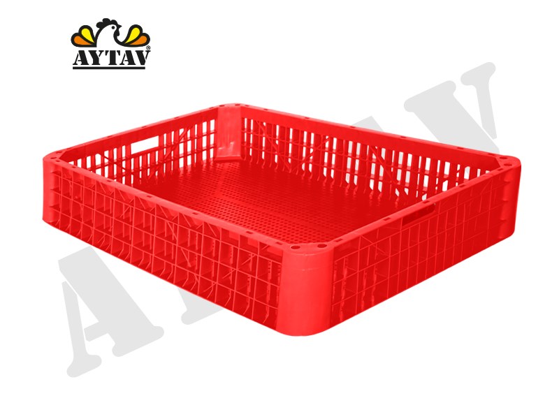 Container Type Large Hens Cage H22